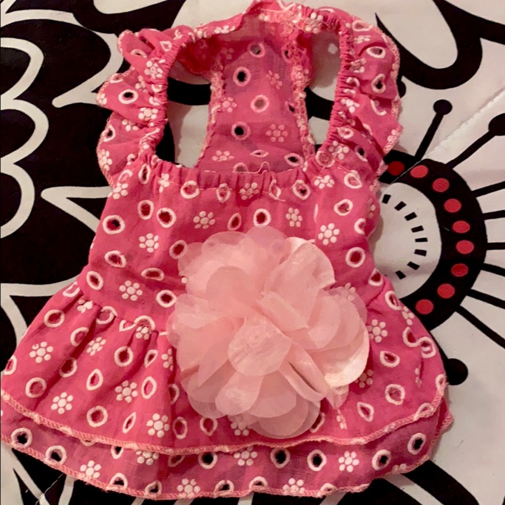 xs dog shirt/dress